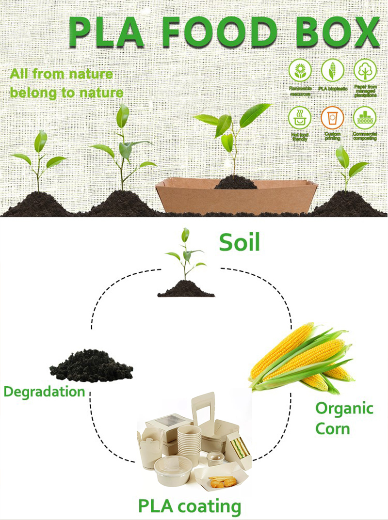  New style take away box PLA paper packaging biodegradables bamboo pulp paper box