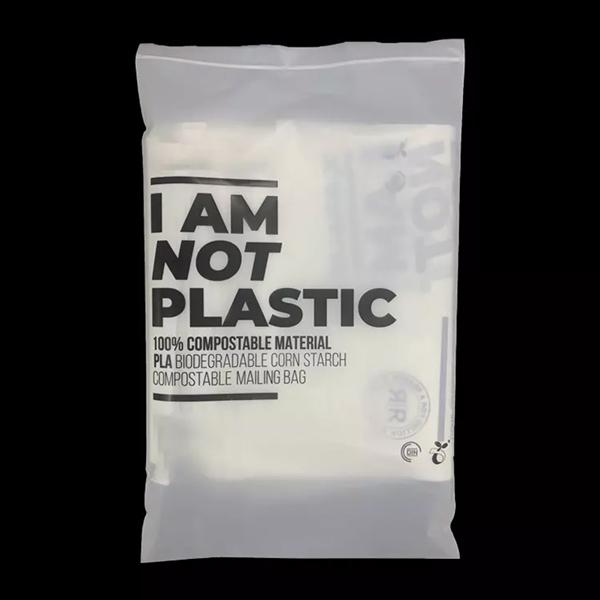 Custom frosted biodegradable clothing clothes packaging ziplock bag print logo compostable resealable zipper bags for t shirt
