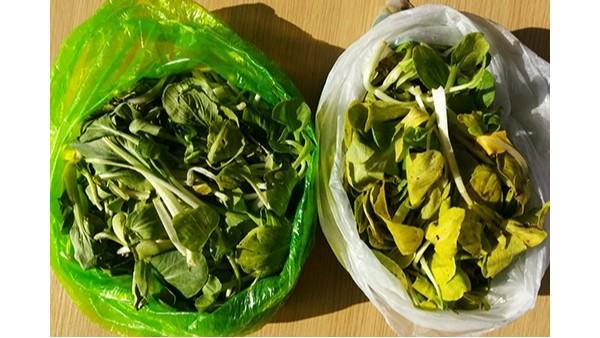 The difference between photodegradable plastic bags and biodegradable plastic bags